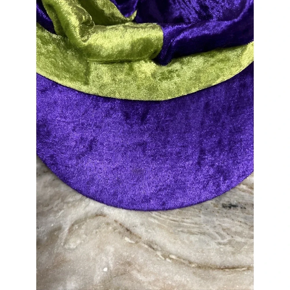 Disneyland Resort Groovy Goofy‎ Hat Green Purple